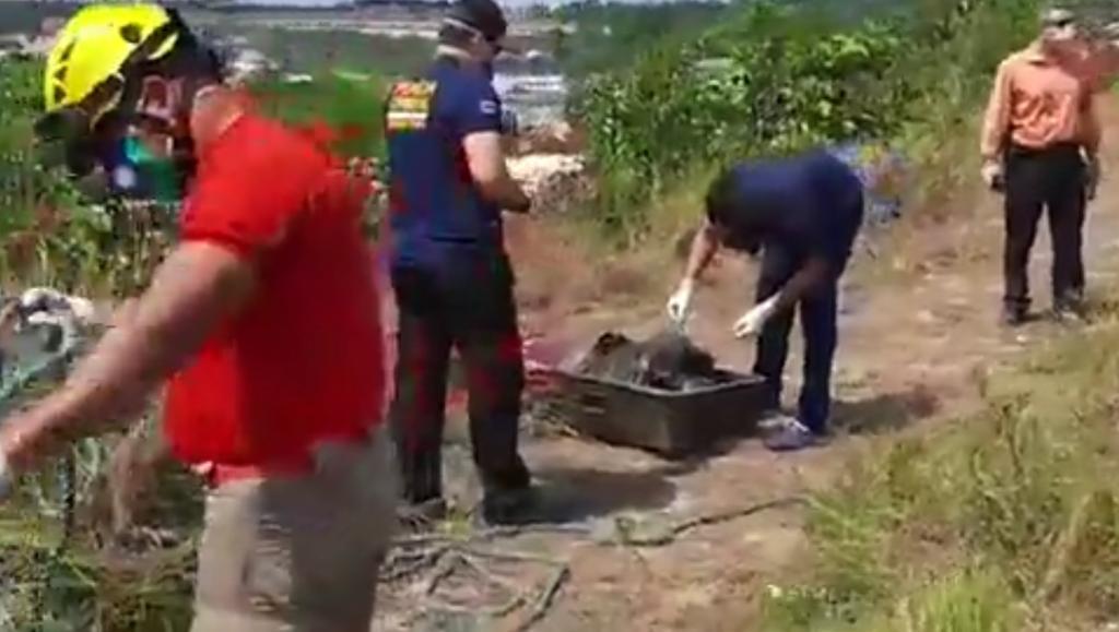 Em avançada decomposição, corpo é encontrado por moradores no Distrito Industrial Em avançada decomposição, corpo é encontrado por moradores no Distrito Industrial