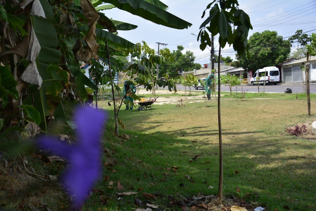 Prefeitura realiza ajustes finais para entrega de quatro novos parques da Juventude em áreas verdes Prefeitura realiza ajustes finais para entrega de quatro novos parques da Juventude em áreas verdes