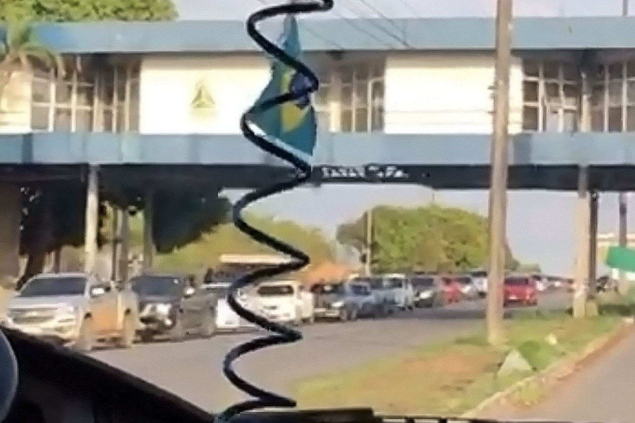 Balsa da Ceasa tem fila recorde Balsa da Ceasa tem fila recorde