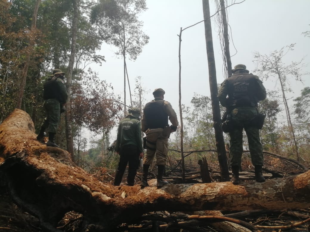 Operação Curuquetê 2 embarga mais de 3,7 mil hectares de terras no Sul do AM Operação Curuquetê 2 embarga mais de 3,7 mil hectares de terras no Sul do AM