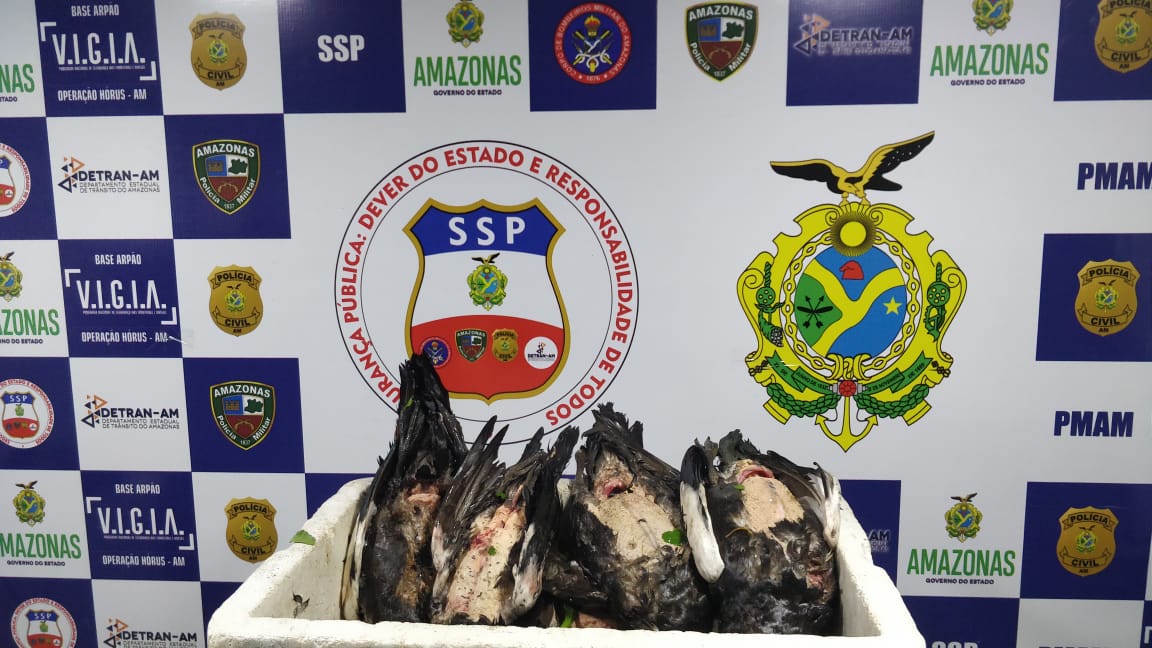 Base Arp&atilde;o apreende nove patos silvestres em Coari