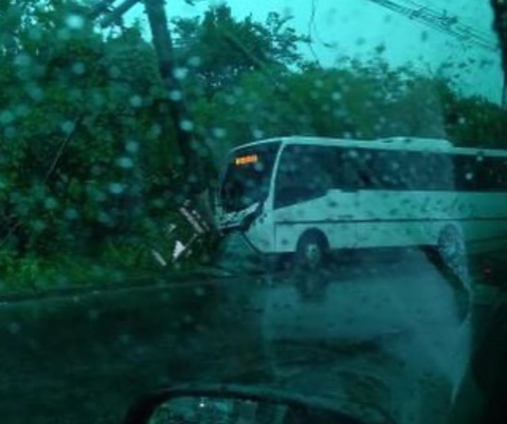 Ônibus bate em poste na avenida Itacolomi e fios de alta tensão caem em veículo Ônibus bate em poste na avenida Itacolomi e fios de alta tensão caem em veículo