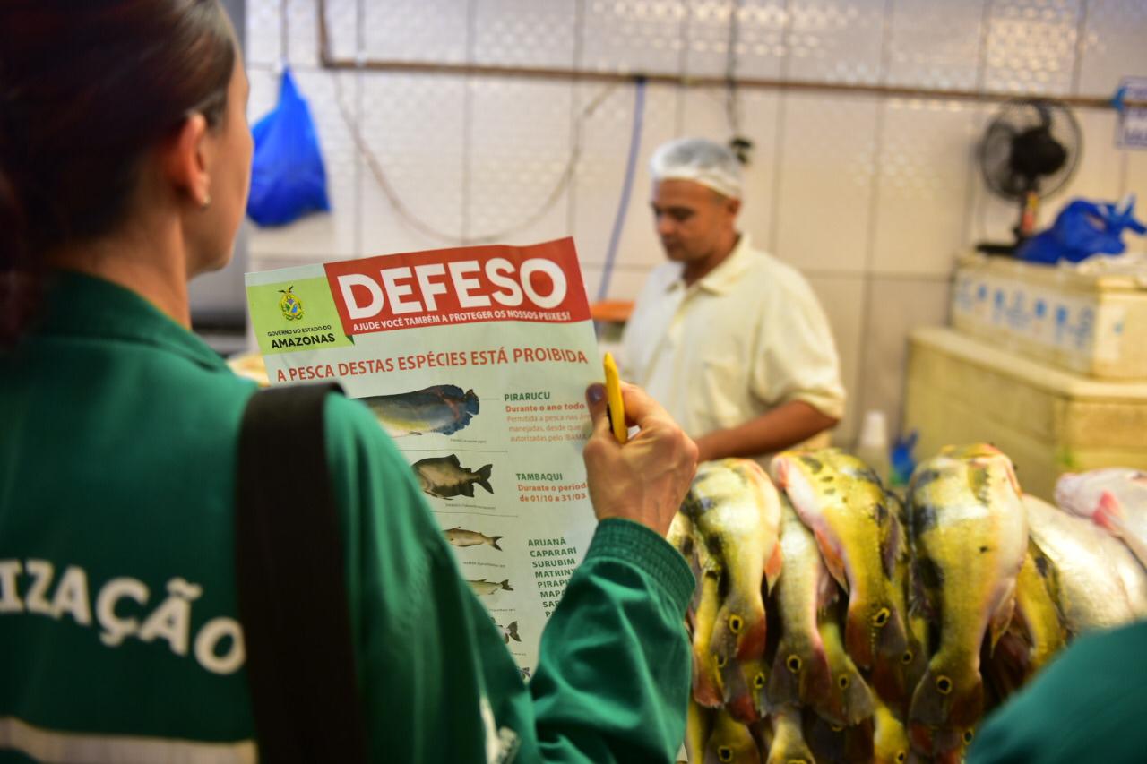 Ipaam alerta sobre declarações de estoque e guias de transporte e comercialização no defeso Ipaam alerta sobre declarações de estoque e guias de transporte e comercialização no defeso