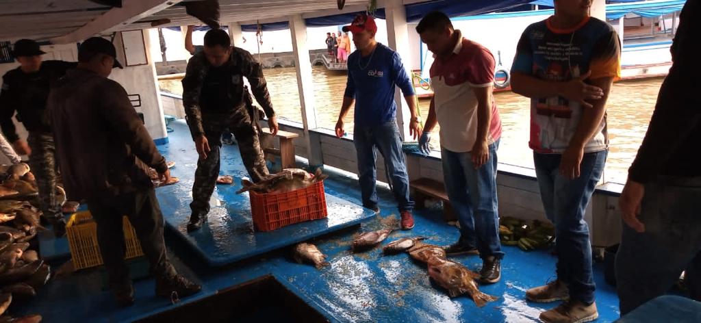 Agentes da base Arpão apreendem 3t de pescado ilegal Agentes da base Arpão apreendem 3t de pescado ilegal