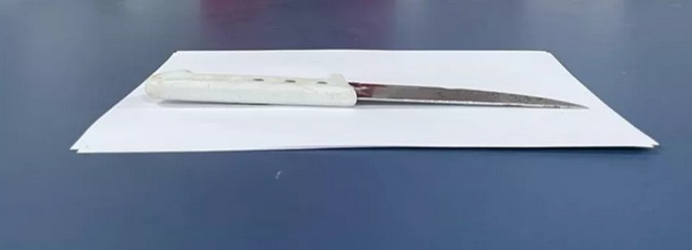 Adolescente acusado de matar funcionário do TJ em briga por cachorro é apreendido Adolescente acusado de matar funcionário do TJ em briga por cachorro é apreendido