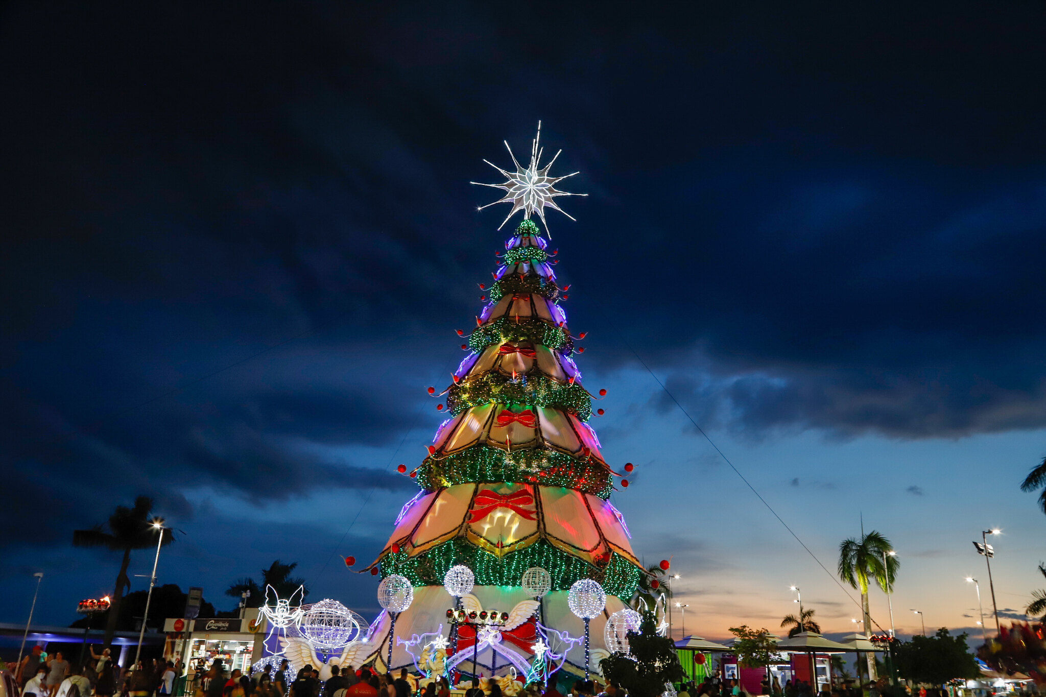 Ponta Negra recebe a maior árvore do 'Natal do Abraço' – Portal do Marcos  Santos - Portal do Marcos Santos