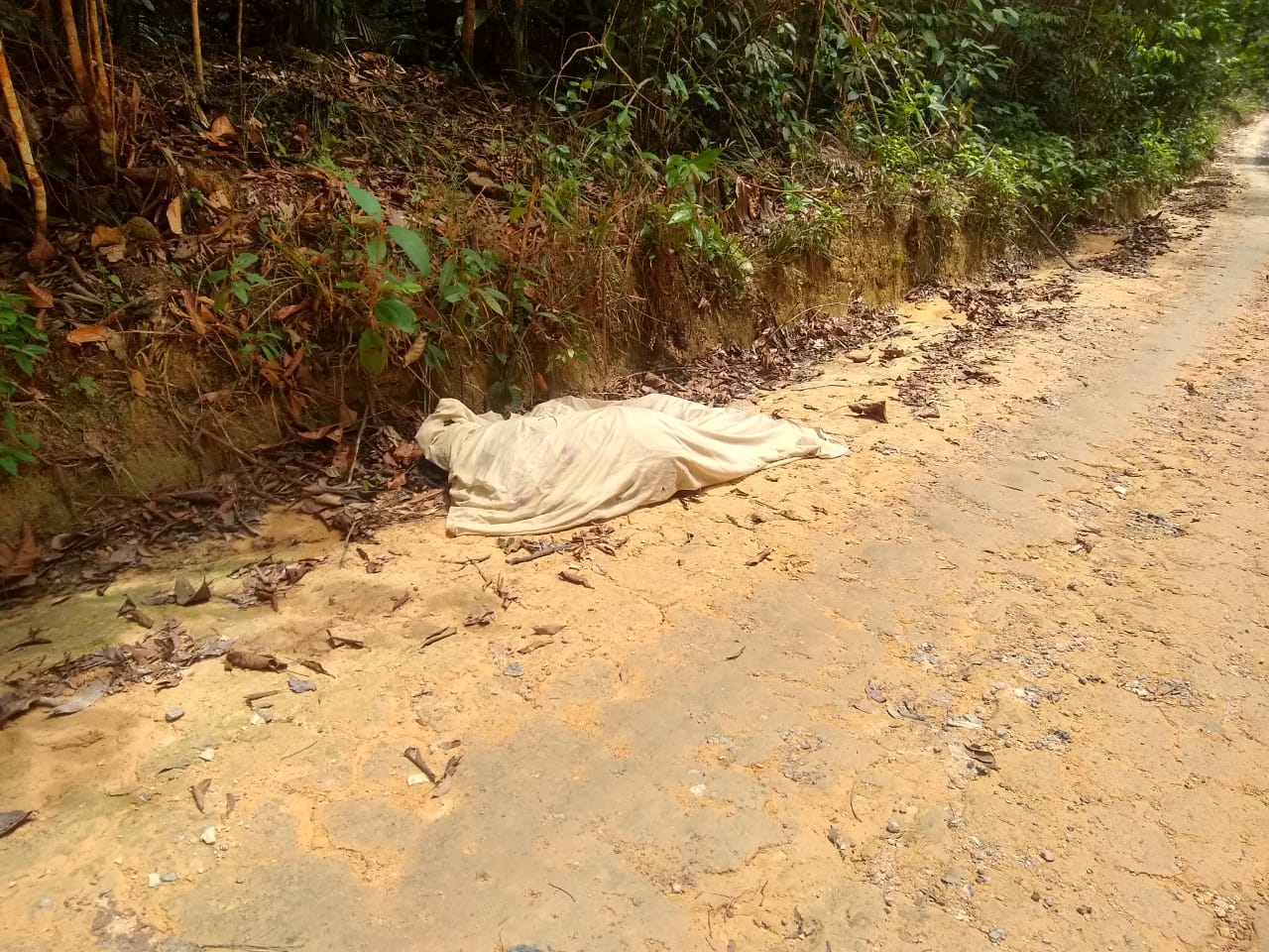 Homem é morto a tiros em ramal na AM-010 Homem é morto a tiros em ramal na AM-010