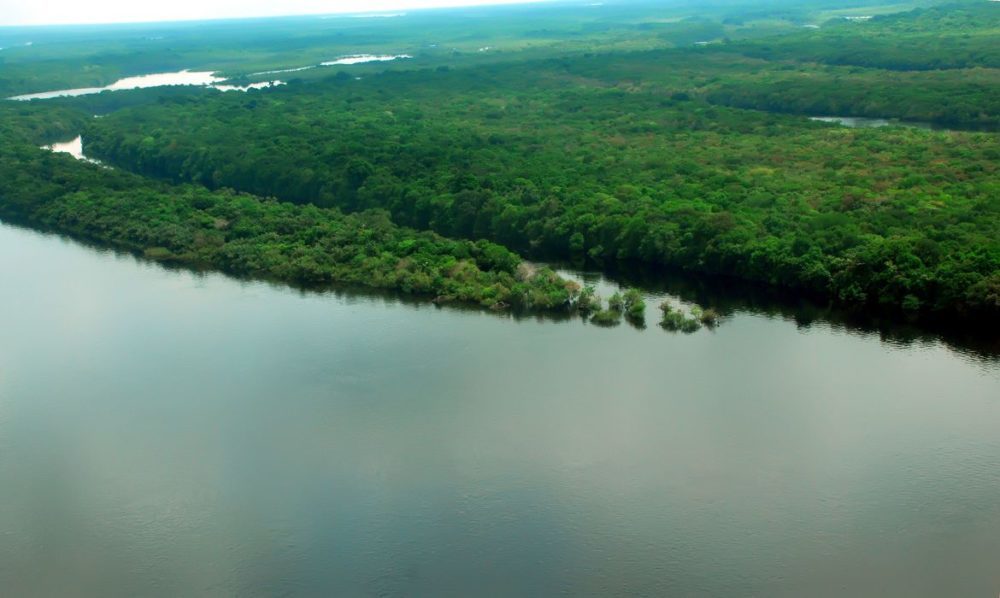 Conselho do PPI recomenda concessão de florestas no Amazonas Conselho do PPI recomenda concessão de florestas no Amazonas