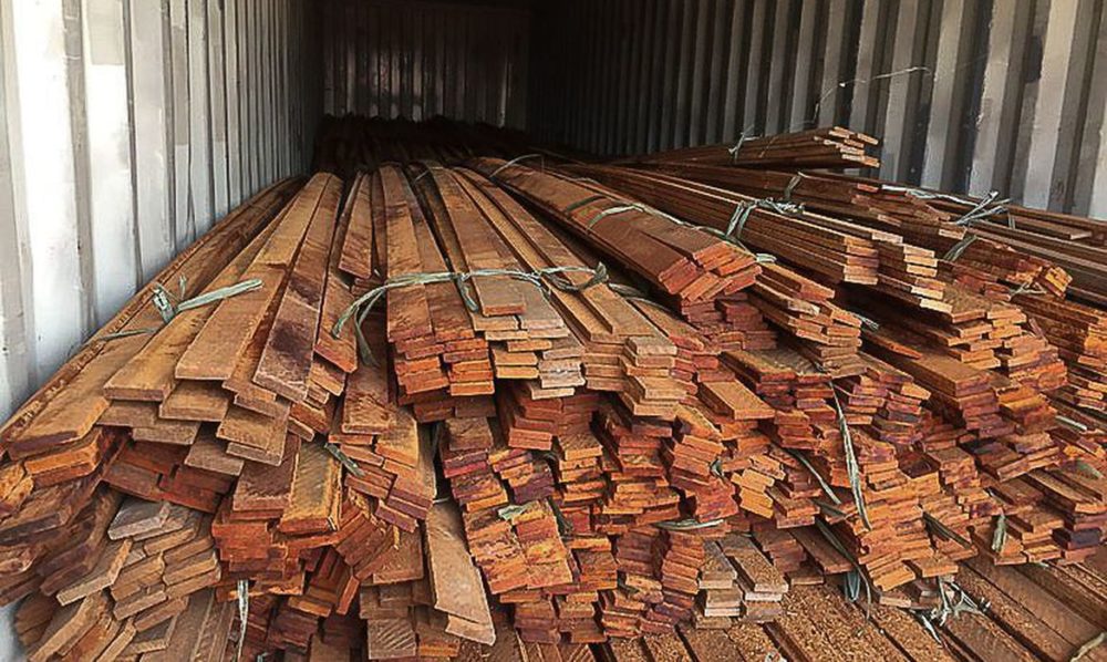 Operação da PF combate desmatamento ilegal na Floresta Amazônica Operação da PF combate desmatamento ilegal na Floresta Amazônica