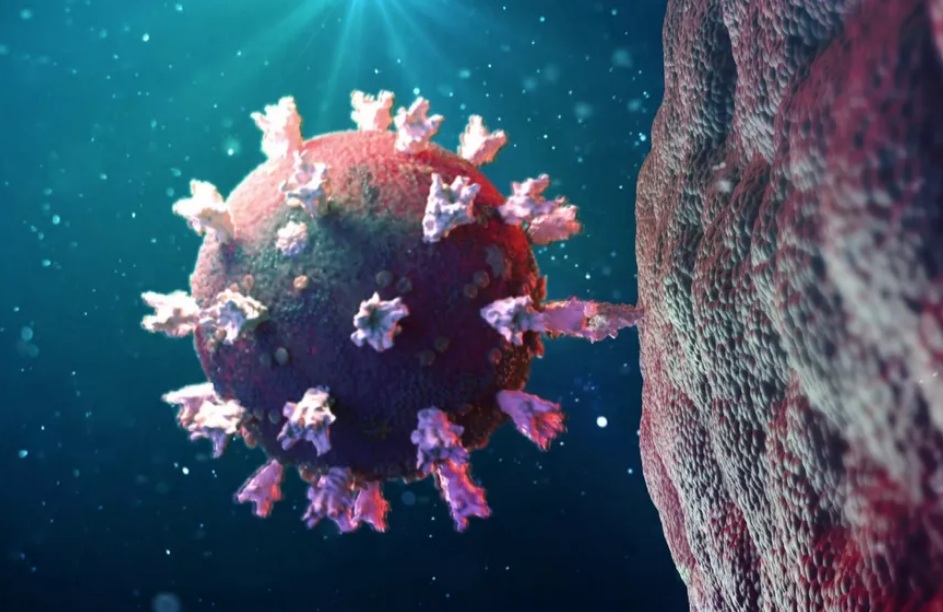 Fiocruz já sequenciou 250 genomas e 18 linhagens da SARS-CoV-2 no Estado; nova variante está em 11 cidades Fiocruz já sequenciou 250 genomas e 18 linhagens da SARS-CoV-2 no Estado; nova variante está em 11 cidades