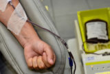 Exame de sangue mostra eficácia no diagnóstico do Alzheimer, indicam estudos