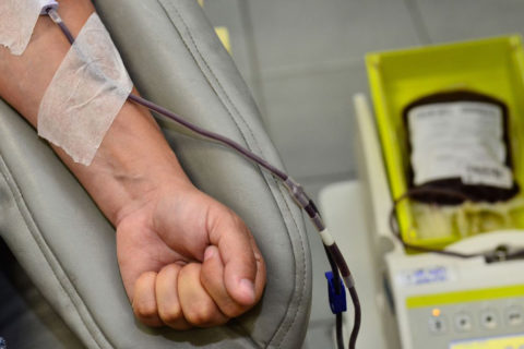Exame de sangue mostra eficácia no diagnóstico do Alzheimer, indicam estudos