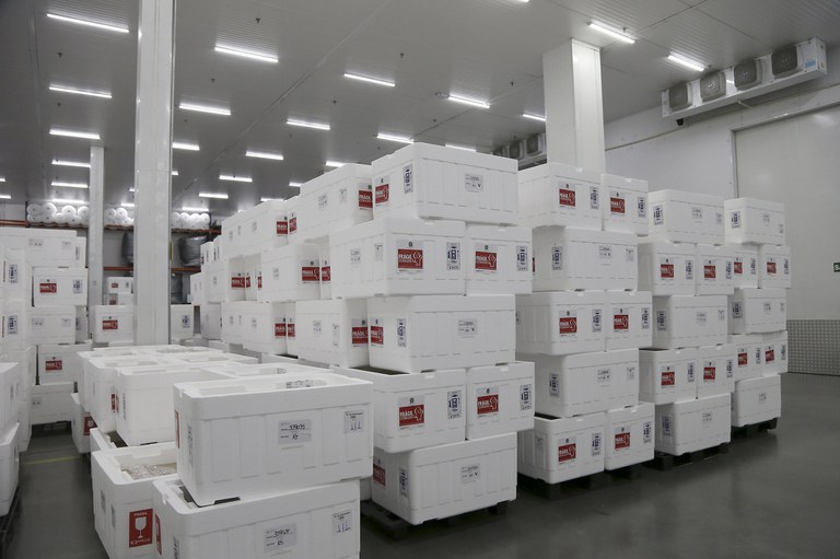 Brasil j&aacute; investiu R$ 6 bilh&otilde;es em vacinas contra coronav&iacute;rus