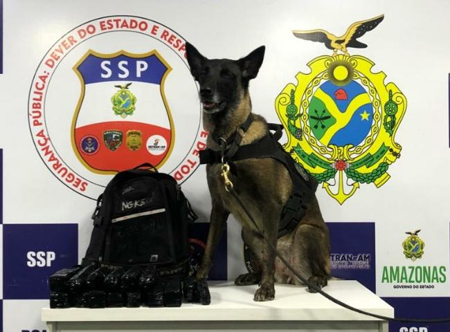 Policiais da Base Arp&atilde;o apreendem mais de 5kg de pasta base em embarca&ccedil;&atilde;o