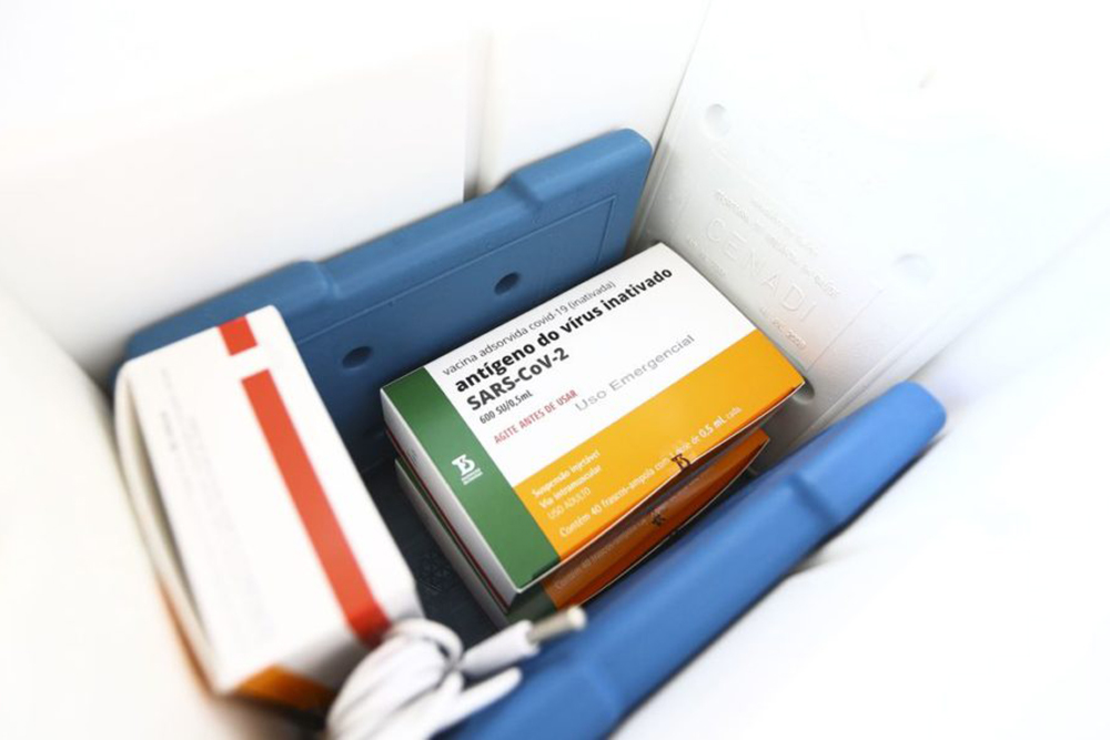 Saúde define cronograma de distribuição de mais 2,5 milhões de doses da vacina do Butantan Saúde define cronograma de distribuição de mais 2,5 milhões de doses da vacina do Butantan