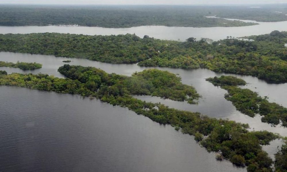 Publicada lista de unidades selecionadas ao programa Adote um Parque; Anavilhanas está incluída Publicada lista de unidades selecionadas ao programa Adote um Parque; Anavilhanas está incluída