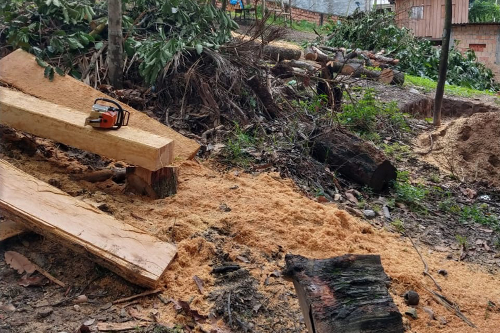 Homem é preso em flagrante por crime ambiental na zona norte de Manaus Homem é preso em flagrante por crime ambiental na zona norte de Manaus
