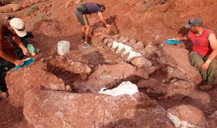 Titanossauro descoberto na Argentina &eacute; exemplar mais antigo da esp&eacute;cie