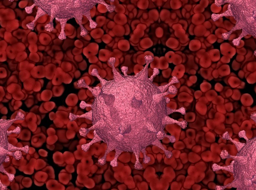 Fundação detecta mutação associada a variantes de preocupação do coronavírus Fundação detecta mutação associada a variantes de preocupação do coronavírus