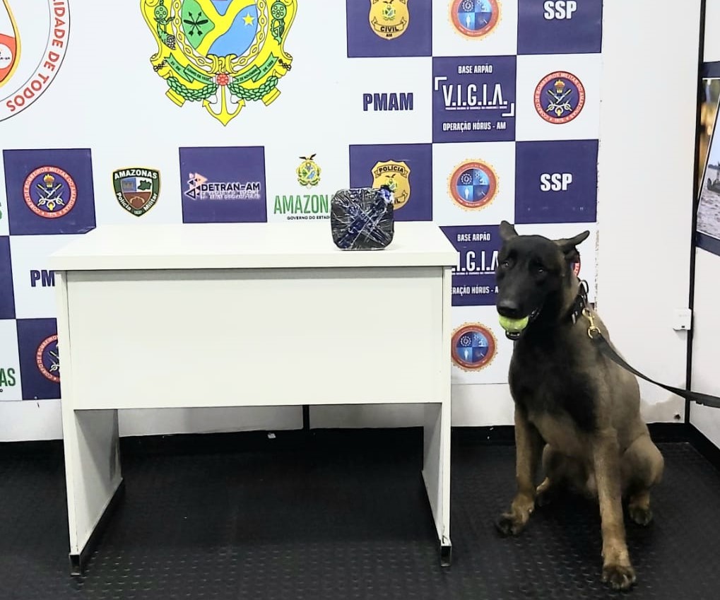 C&atilde;o policial encontra entorpecente coca&iacute;na em bote salva-vidas