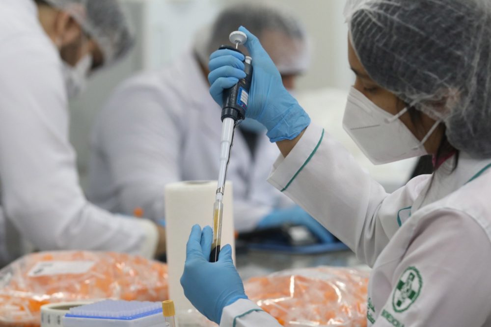 Estudo CovacManaus contará com corpo técnico formado por pesquisadores e universitários do AM Estudo CovacManaus contará com corpo técnico formado por pesquisadores e universitários do AM