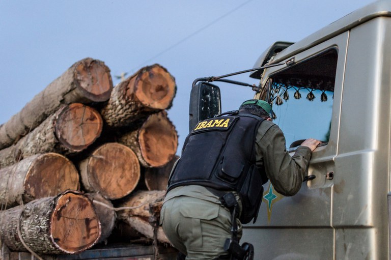 Pará e Mato Grosso ficam sem poder comercializar produto florestal de origem nativa Pará e Mato Grosso ficam sem poder comercializar produto florestal de origem nativa