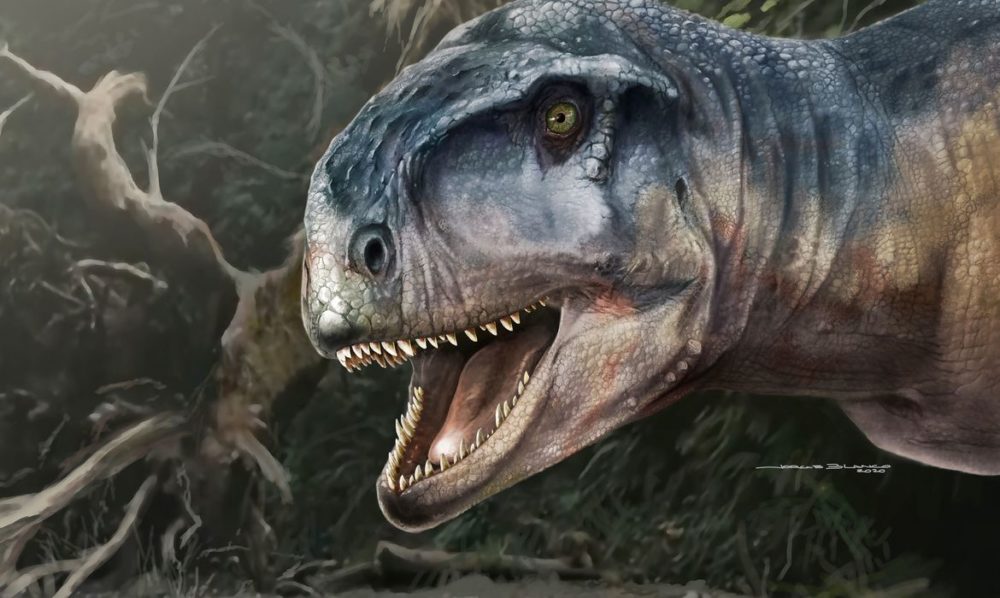 Nova espécie de dinossauro é descoberta na Argentina Nova espécie de dinossauro é descoberta na Argentina