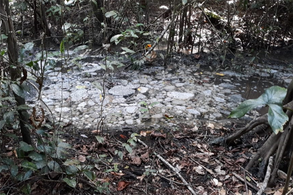 MPF aciona Justiça para que Sovel repare danos ambientais em Manaus por despejo de material tóxico MPF aciona Justiça para que Sovel repare danos ambientais em Manaus por despejo de material tóxico