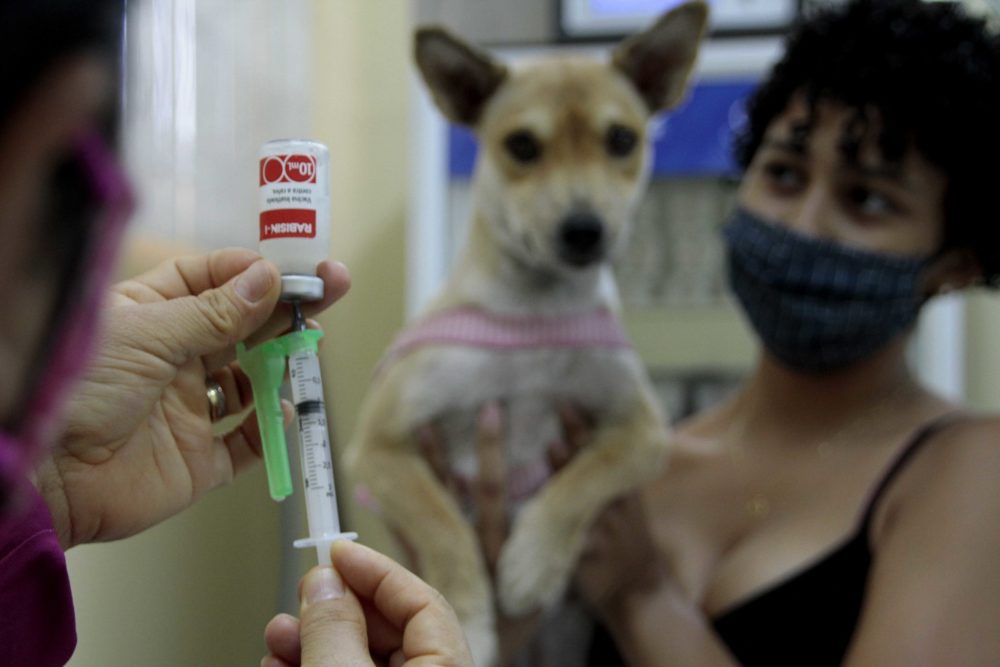 Unidade móvel do CCZ retoma a vacinação antirrábica animal Unidade móvel do CCZ retoma a vacinação antirrábica animal