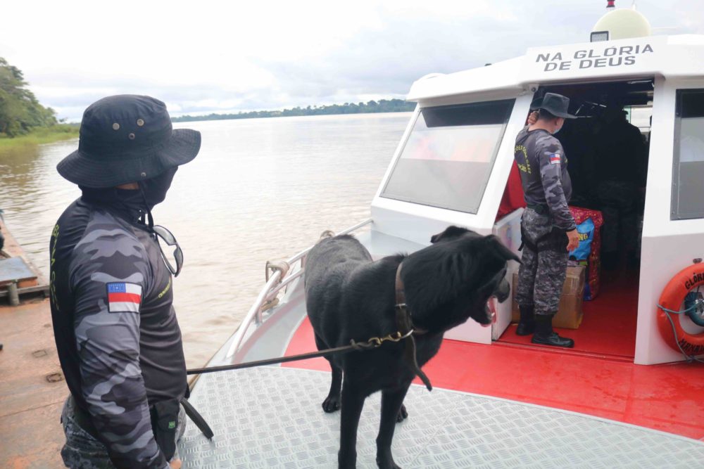 Cães especializados em faro de narcóticos fazem a diferença na Base Arpão Cães especializados em faro de narcóticos fazem a diferença na Base Arpão
