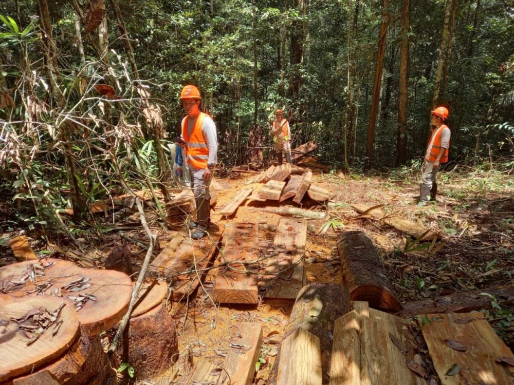 Reserva do Uatumã tem movelaria licenciada para impulsionar manejo florestal Reserva do Uatumã tem movelaria licenciada para impulsionar manejo florestal