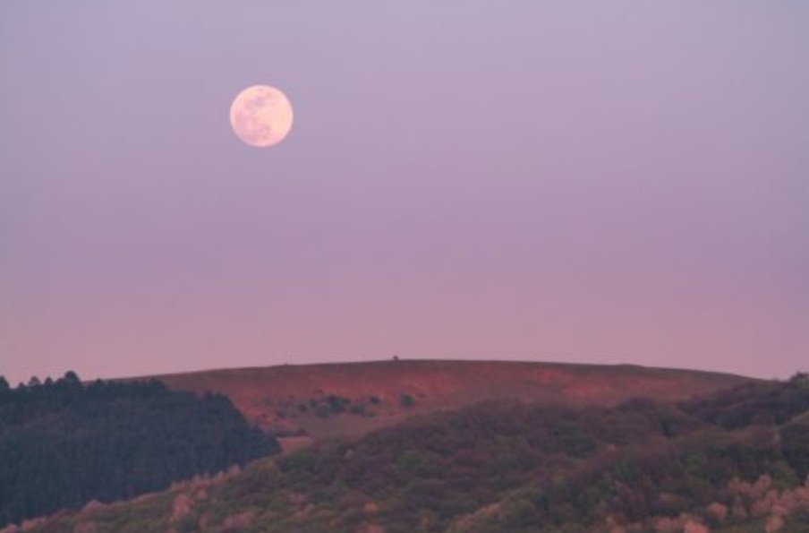 Superlua Rosa: fen&ocirc;meno poder&aacute; ser visto na noite desta segunda-feira (26)