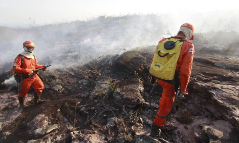 Ibama &eacute; autorizado a contratar temporariamente 1.659 profissionais