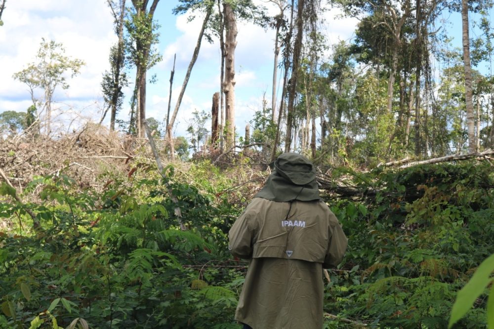 'Tamoiotat&aacute;' embarga mais de 2 mil hectares em propriedades com desmatamento ilegal