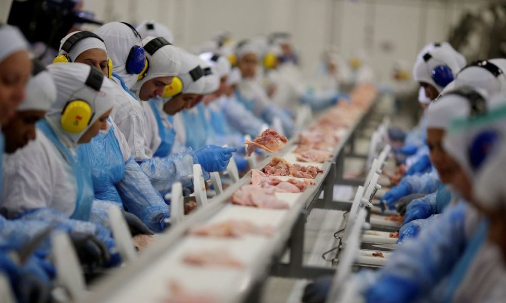 Ar&aacute;bia suspende compra de carne de ave de 11 frigor&iacute;ficos do Brasil