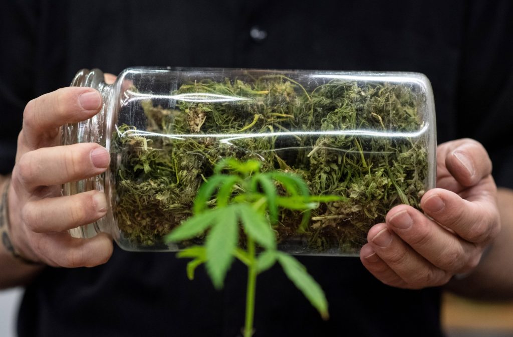 Anvisa publica autoriza&ccedil;&atilde;o para produto oral &agrave; base de Cannabis