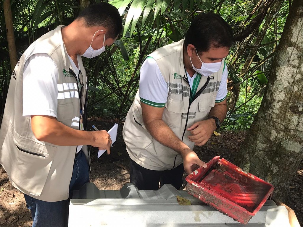 FVS-AM realiza visitas a municípios para suporte no controle da dengue FVS-AM realiza visitas a municípios para suporte no controle da dengue