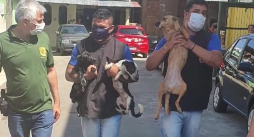 Polícia prende duas pessoas após denúncias de maus-tratos a cachorros, inclusive inanição Polícia prende duas pessoas após denúncias de maus-tratos a cachorros, inclusive inanição