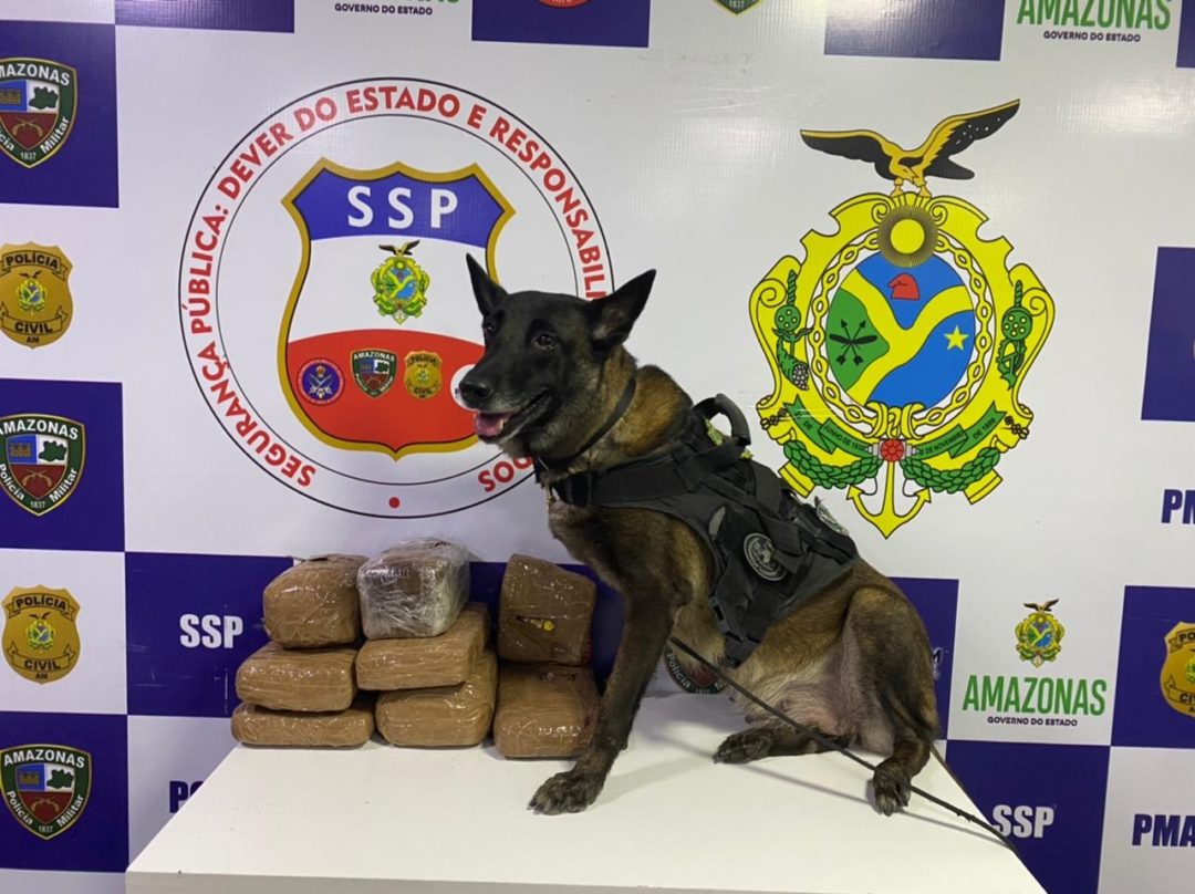 Agentes de base Arpão apreendem 7kg de entorpecentes em embarcação Agentes de base Arpão apreendem 7kg de entorpecentes em embarcação