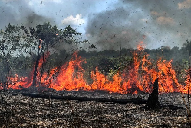 Inpe: Doze estados têm aumento de queimadas em agosto, incluindo AM