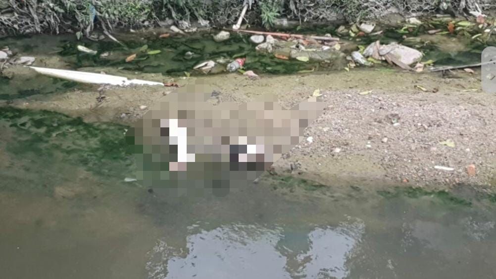 Cabeça e perna são encontradas jogadas perto de igarapé no Tancredo Neves