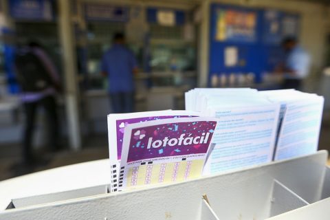 Lotofácil da Independência: 86 apostas vão dividir R$ 206 milhões; veja dezenas