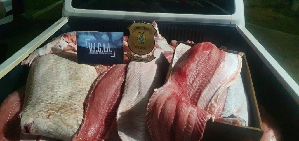 Em Manacapuru, PC prende homem e apreende 818kg de pescado ilegal