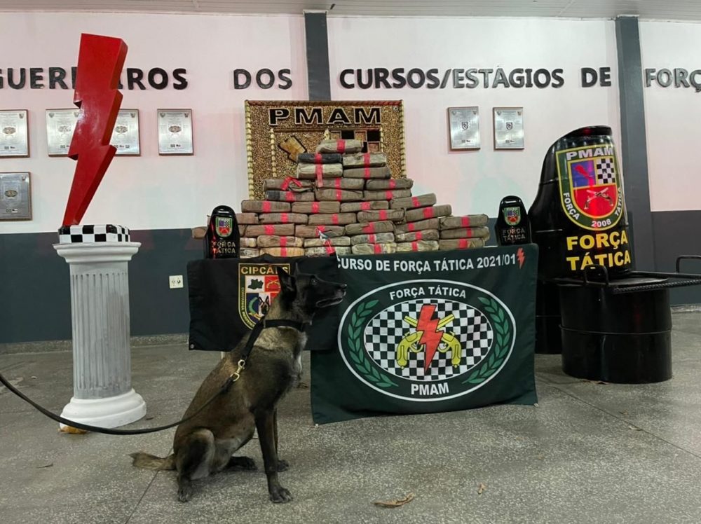 Força Tática e CIPCães apreendem 80kg de drogas no Zumbi