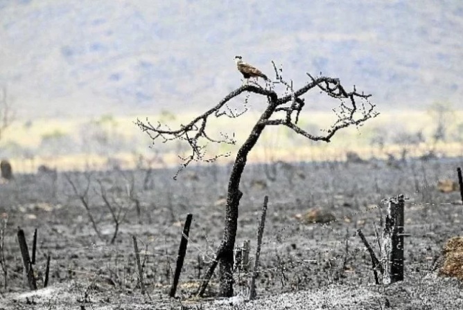 Chapada dos Veadeiros: região é devastada por incêndios há mais de 16 dias