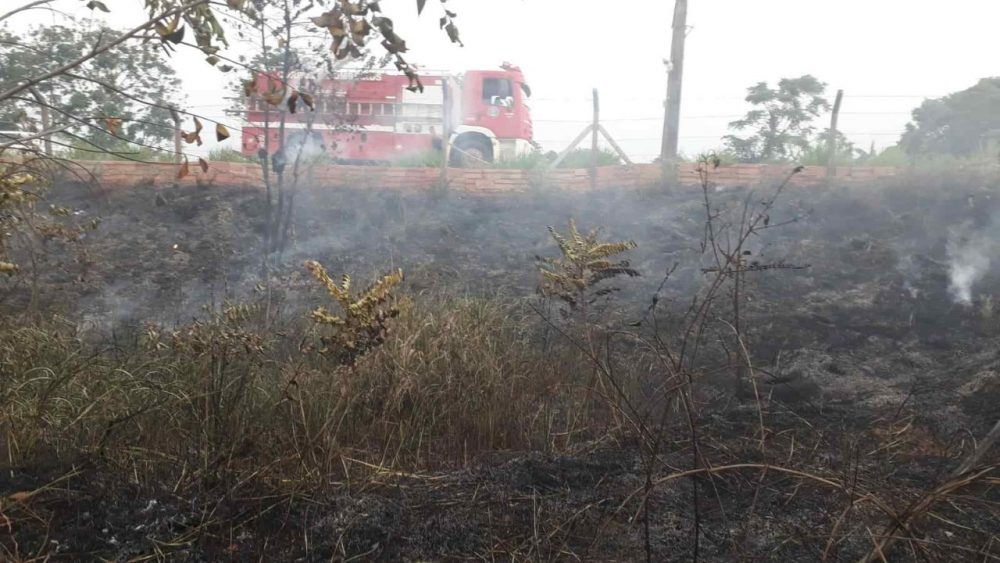 Bombeiros militares debelam incêndio em vegetação na rodovia AM-070
