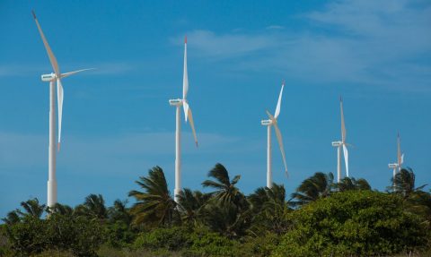 Nordeste tem segundo recorde consecutivo de geração de energia eólica