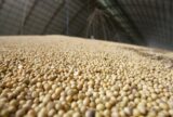 Produção de grãos do Brasil deve atingir 353,4 milhões de toneladas na safra 2025/26