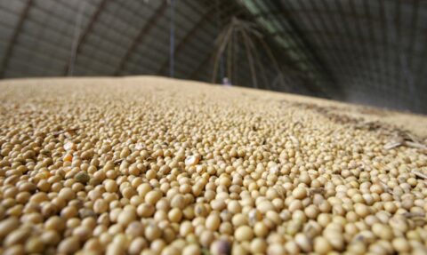 Produção de grãos do Brasil deve atingir 353,4 milhões de toneladas na safra 2025/26