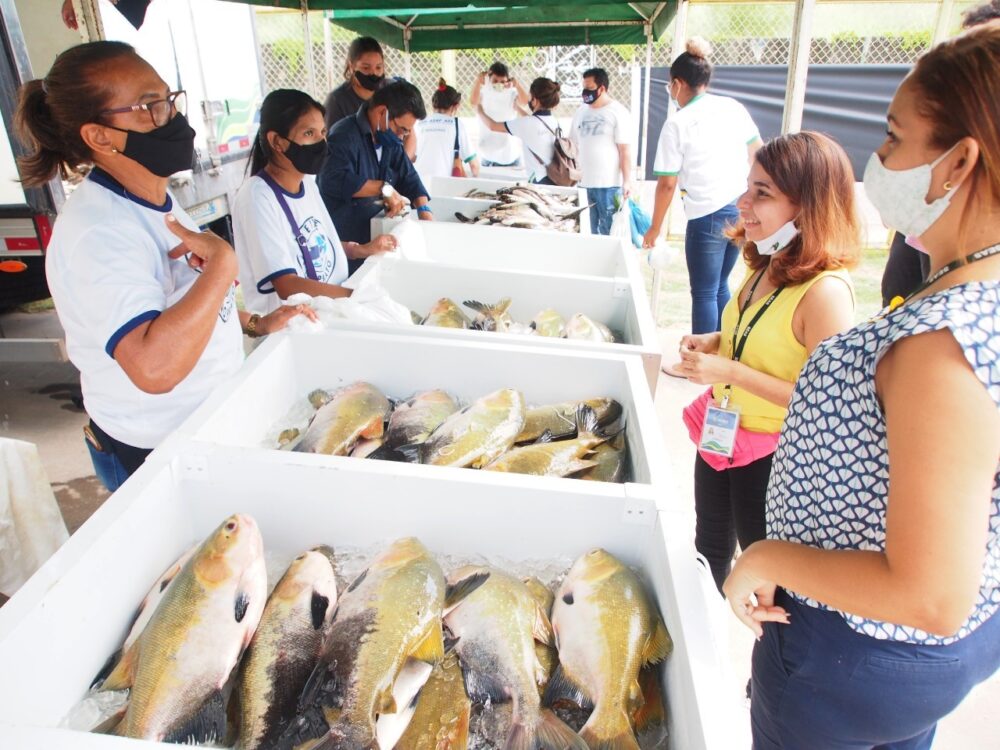 Realizado pela ADS, feirão do pescado manejado terá pirarucu e tambaqui a preços populares